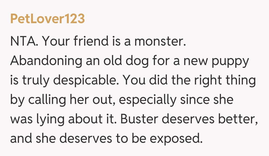 Comentariu de la PetLover123