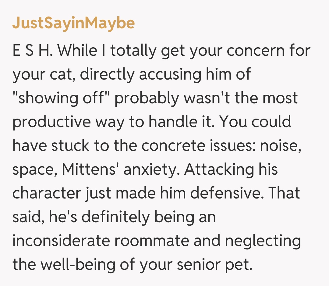 Comentariu de la JustSayinMaybe