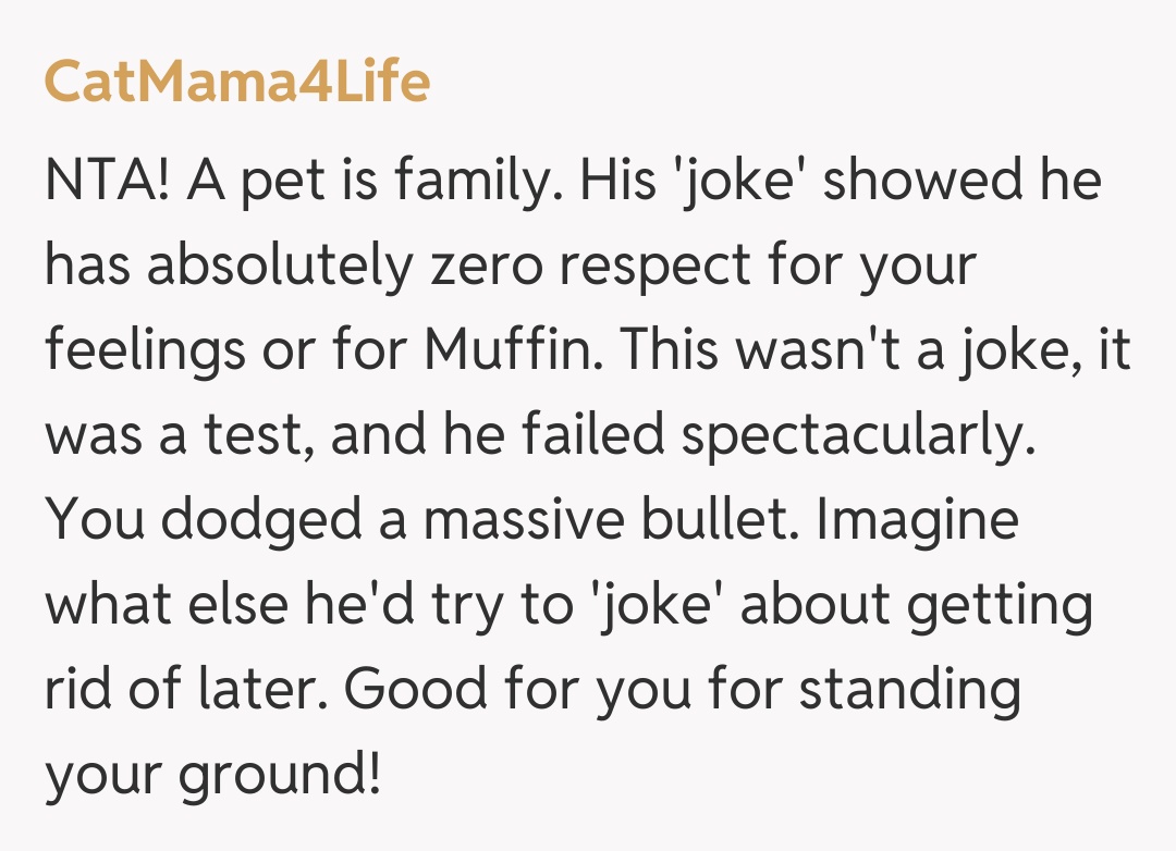 Comentariu de la CatMama4Life