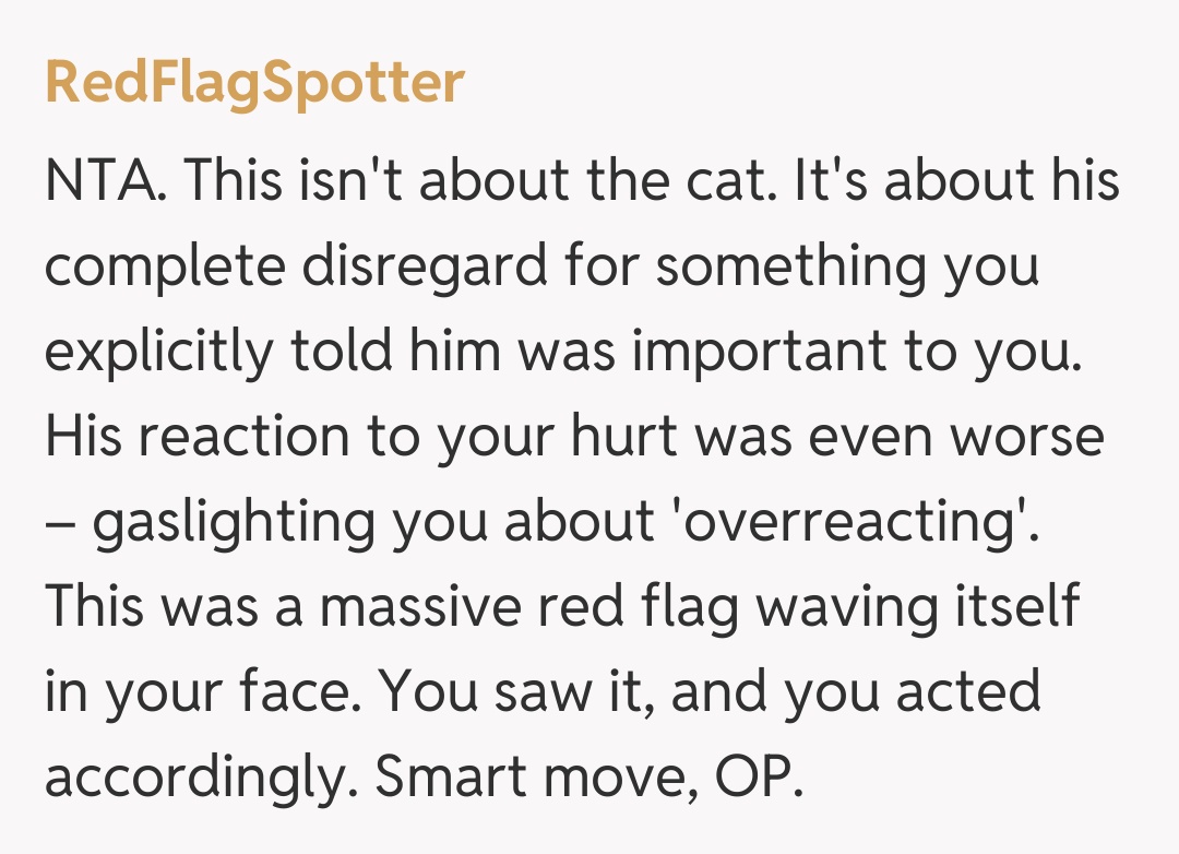 Comentariu de la RedFlagSpotter