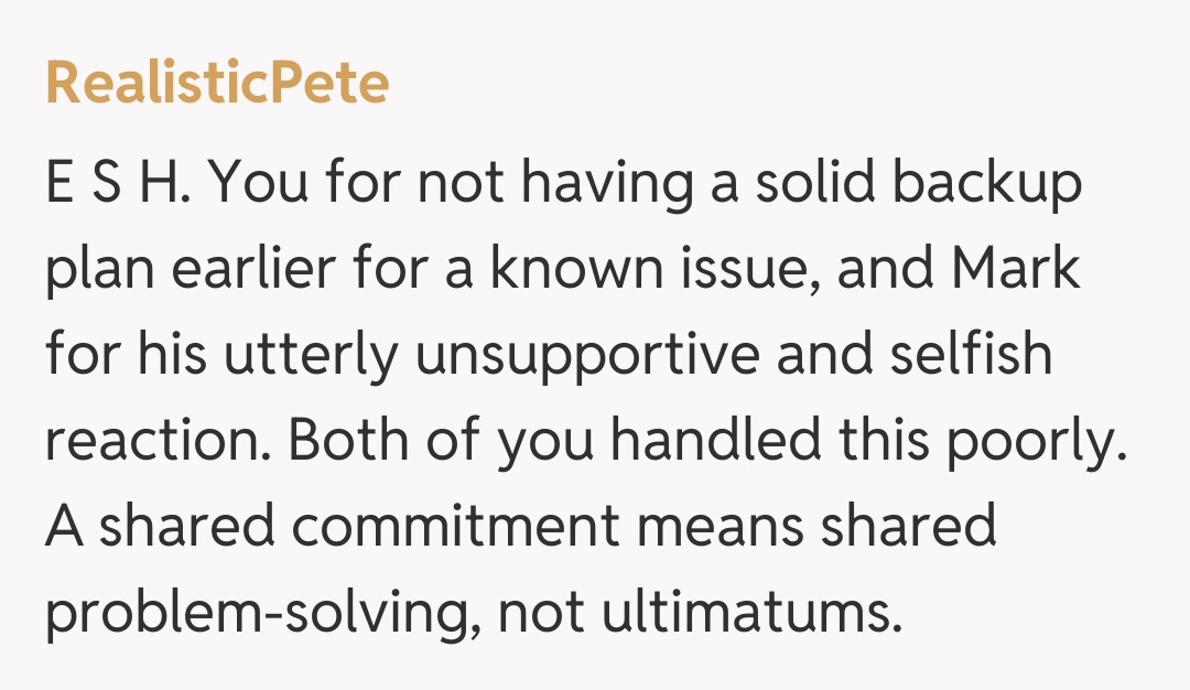 Comentariu de la RealisticPete