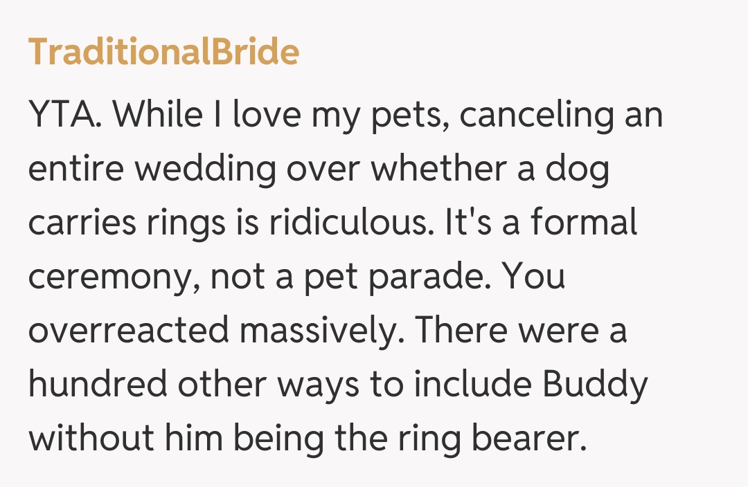 Comentariu de la TraditionalBride