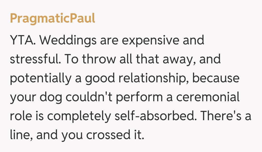 Comentariu de la PragmaticPaul