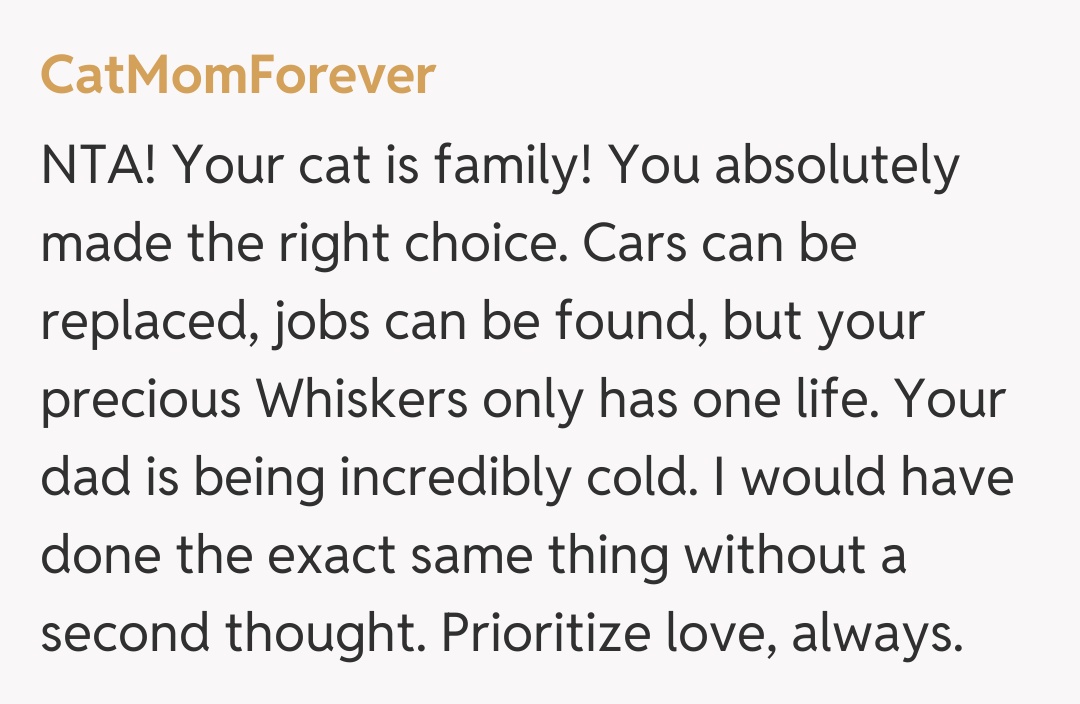 Comentariu de la CatMomForever