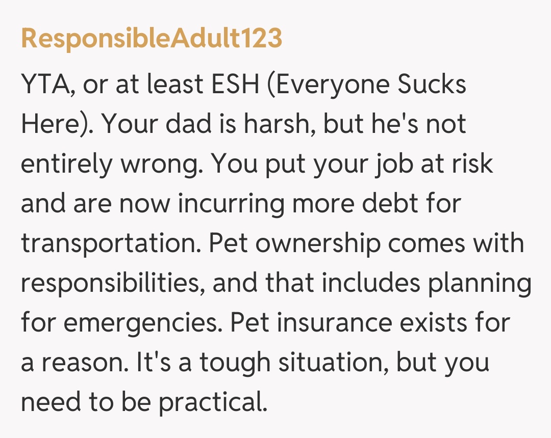 Comentariu de la ResponsibleAdult123