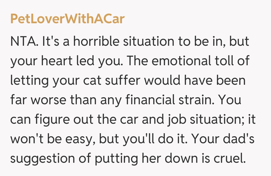 Comentariu de la PetLoverWithACar