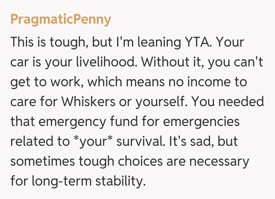 Comentariu de la PragmaticPenny