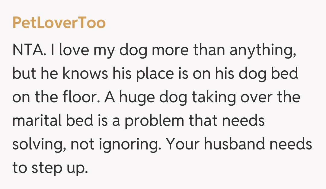 Comentariu de la PetLoverToo