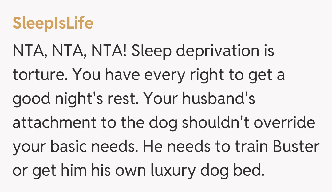 Comentariu de la SleepIsLife