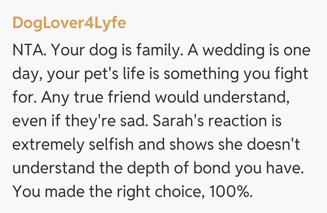 Comentariu de la DogLover4Lyfe