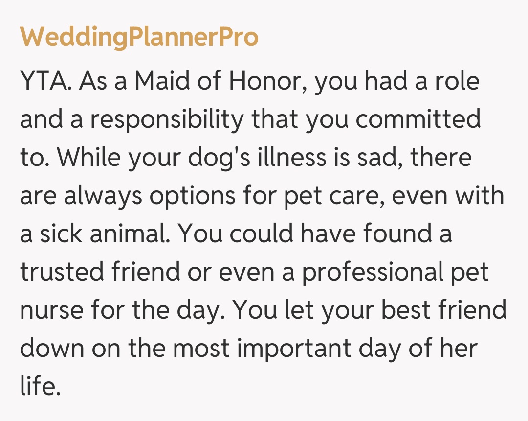 Comentariu de la WeddingPlannerPro