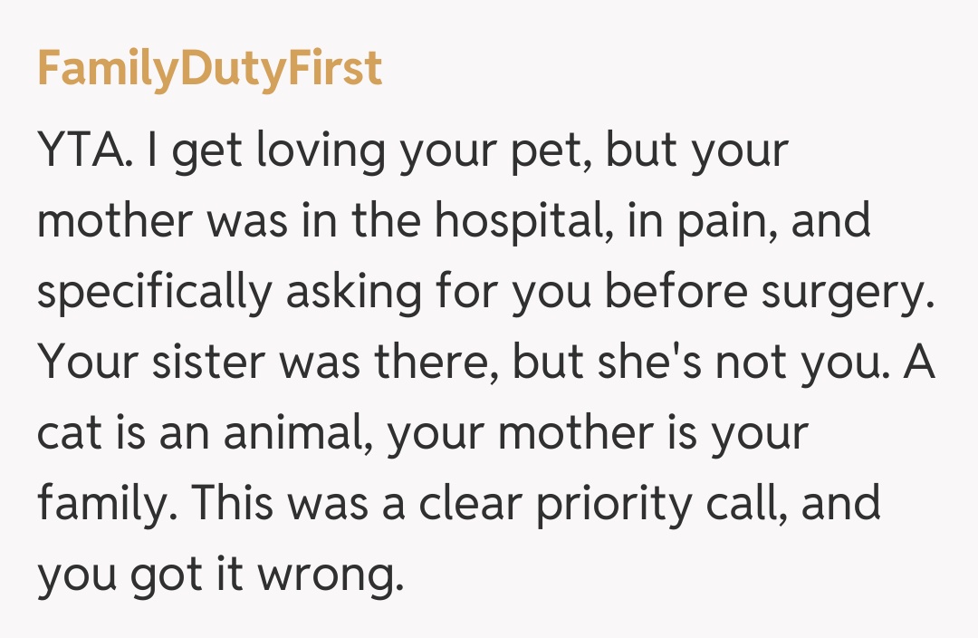 Comentariu de la FamilyDutyFirst