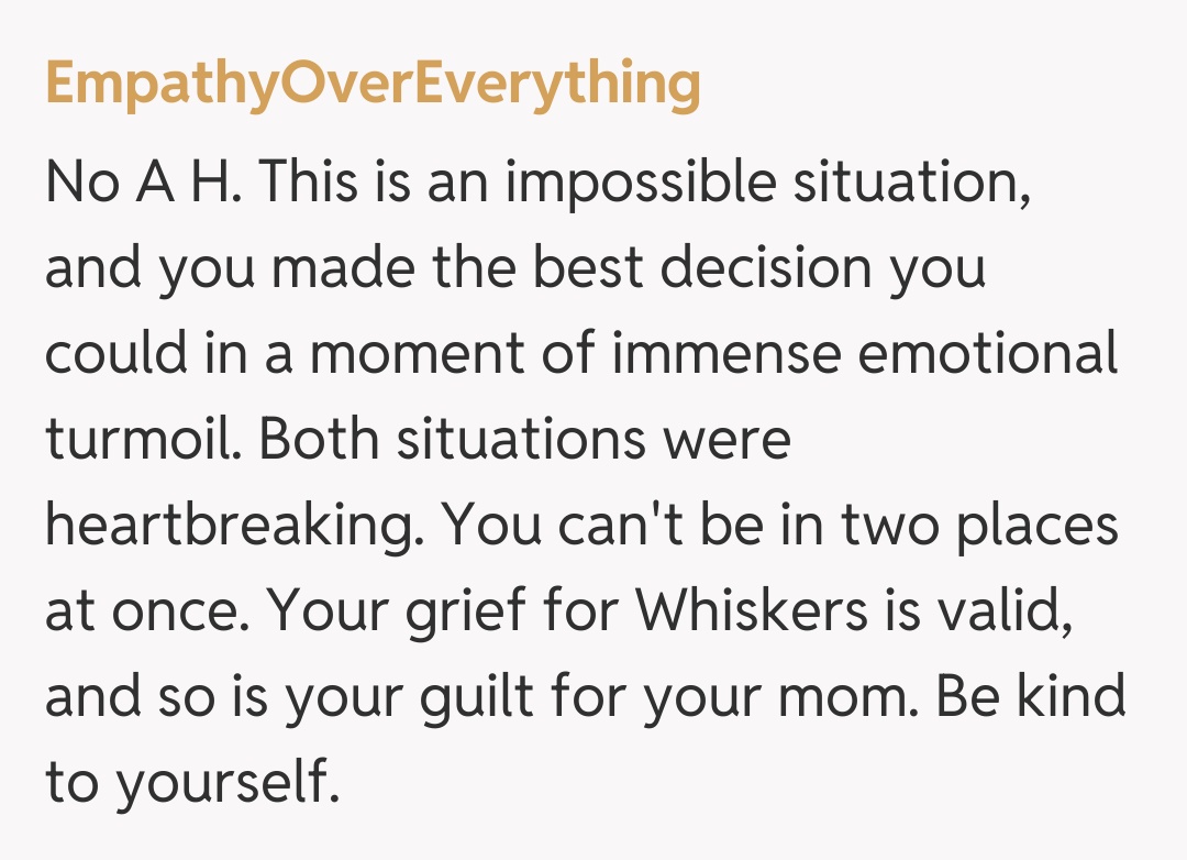 Comentariu de la EmpathyOverEverything