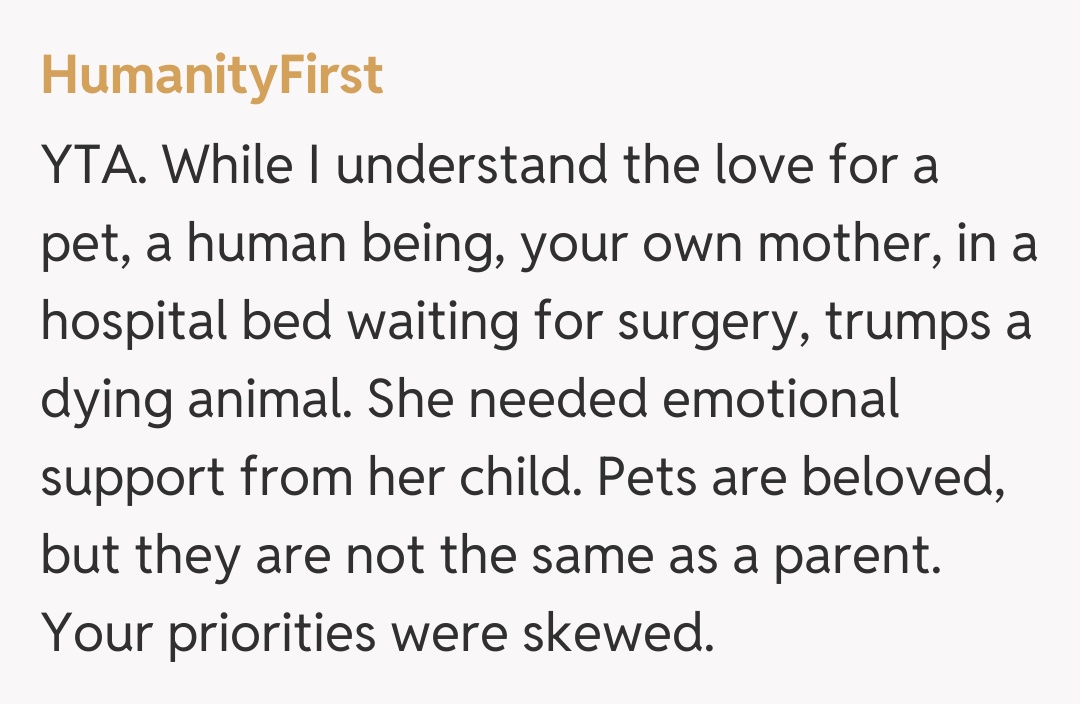 Comentariu de la HumanityFirst