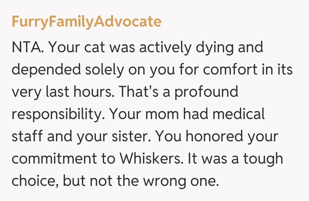 Comentariu de la FurryFamilyAdvocate