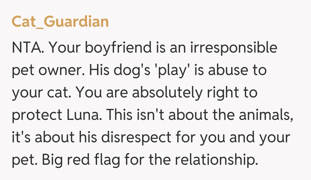 Comentariu de la Cat_Guardian