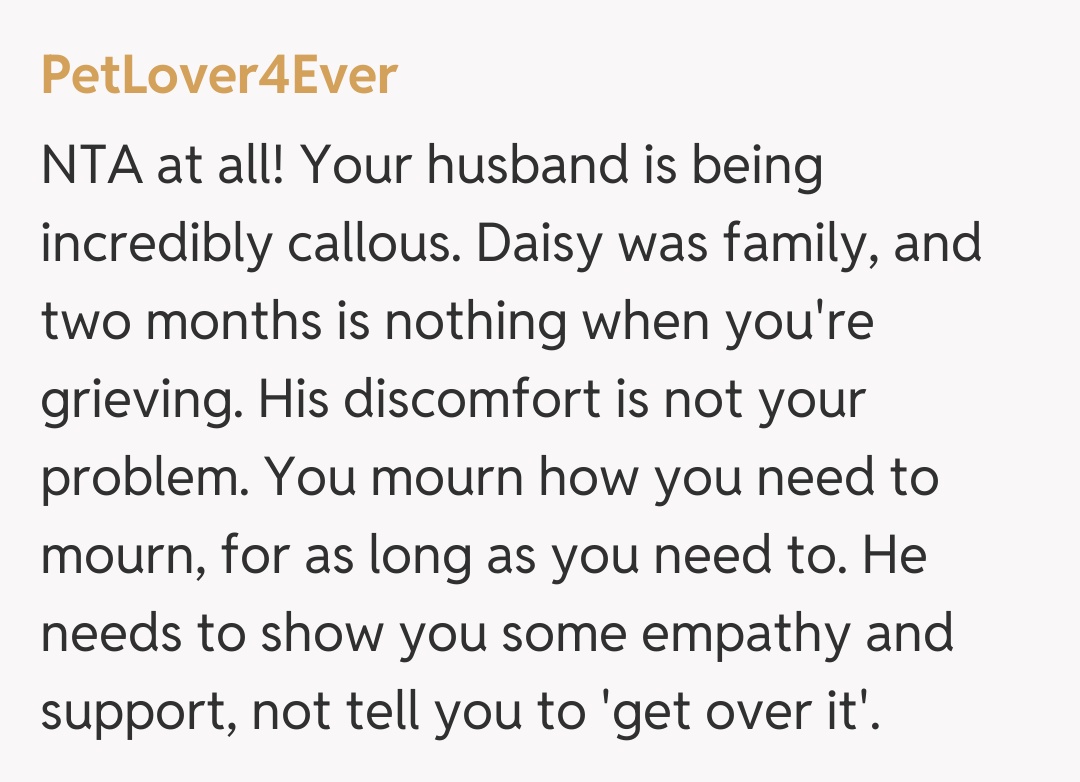 Comentariu de la PetLover4Ever
