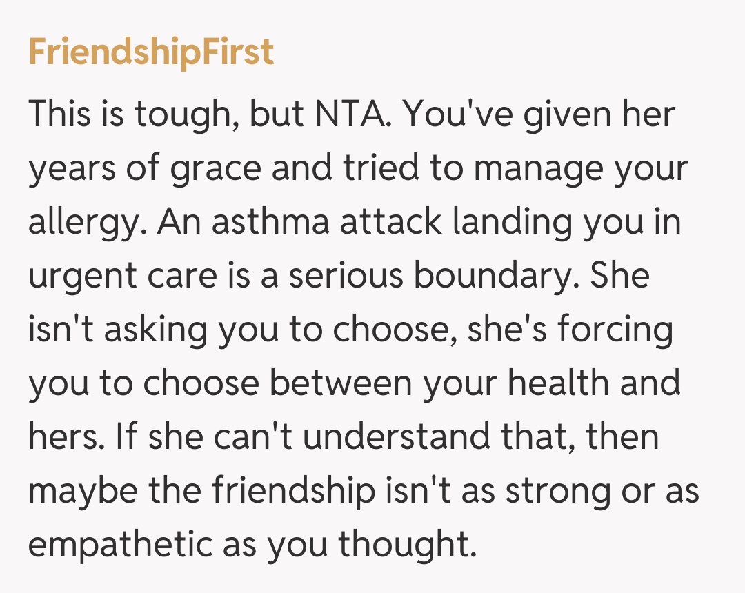 Comentariu de la FriendshipFirst