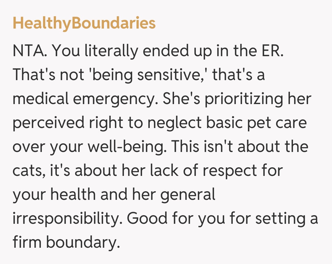 Comentariu de la HealthyBoundaries