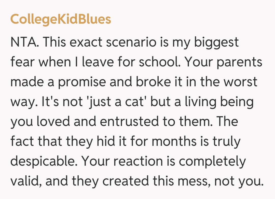 Comentariu de la CollegeKidBlues