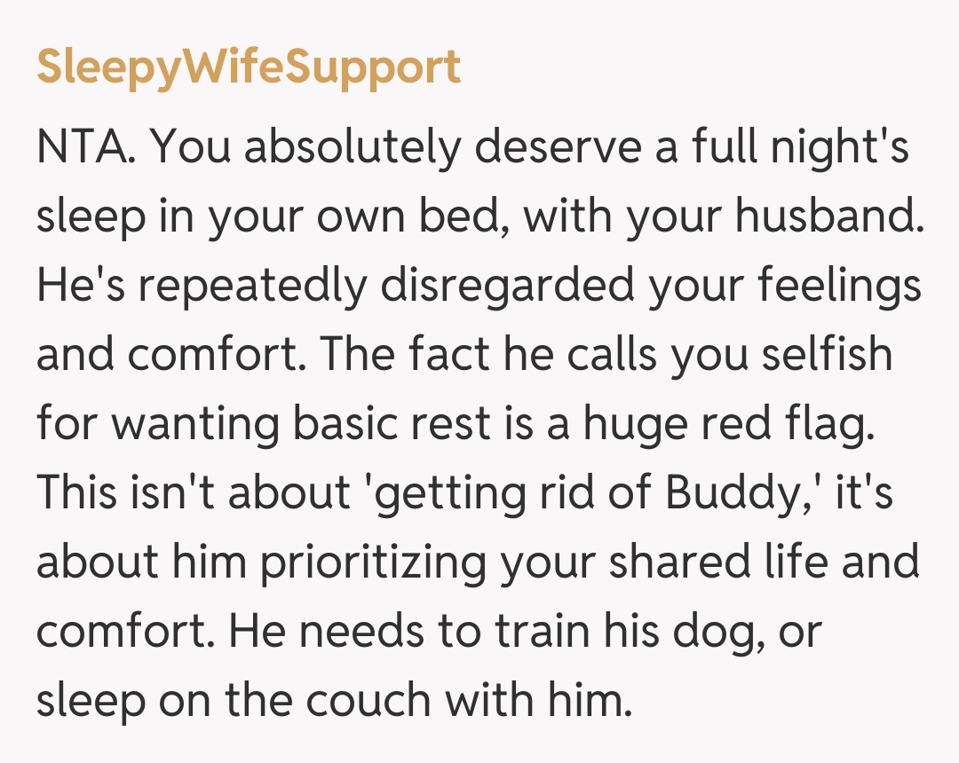 Comentariu de la SleepyWifeSupport
