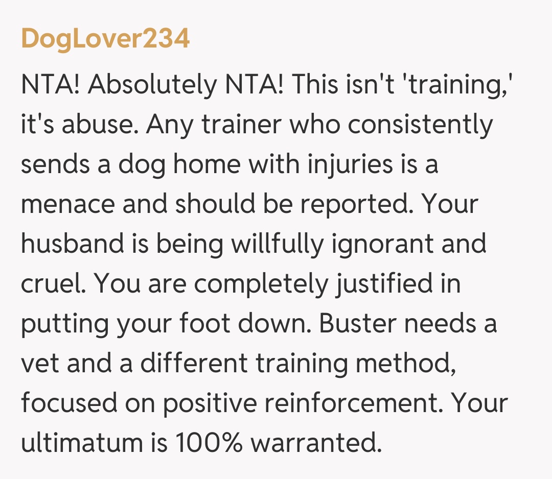 Comentariu de la DogLover234