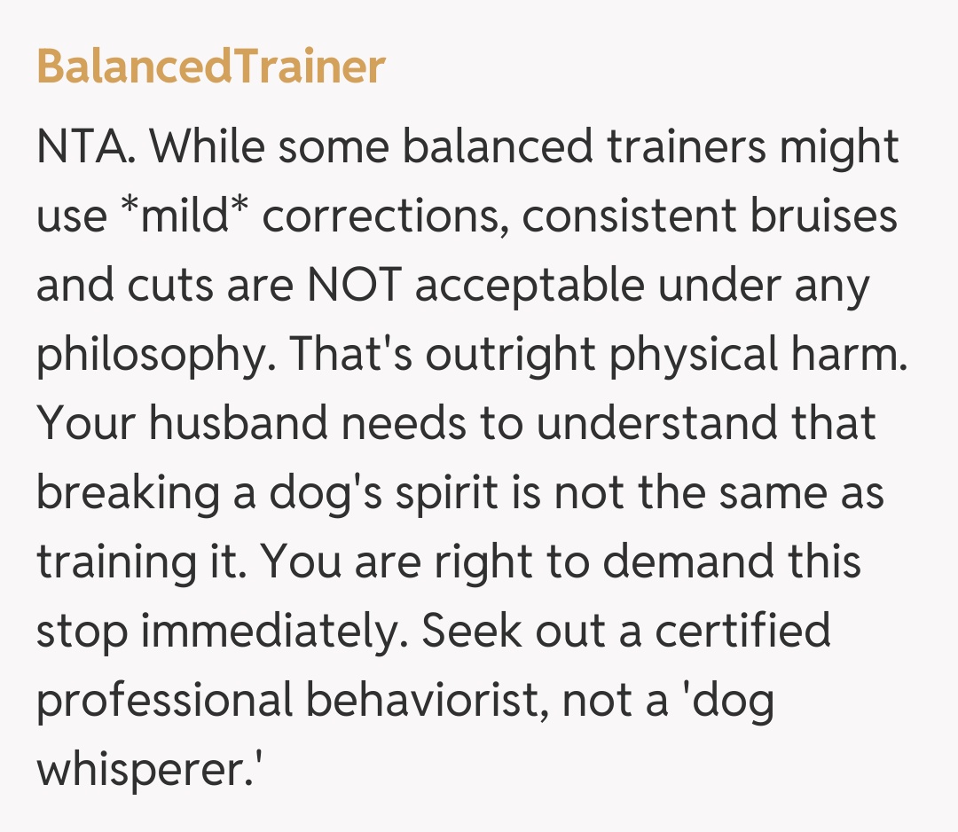 Comentariu de la BalancedTrainer