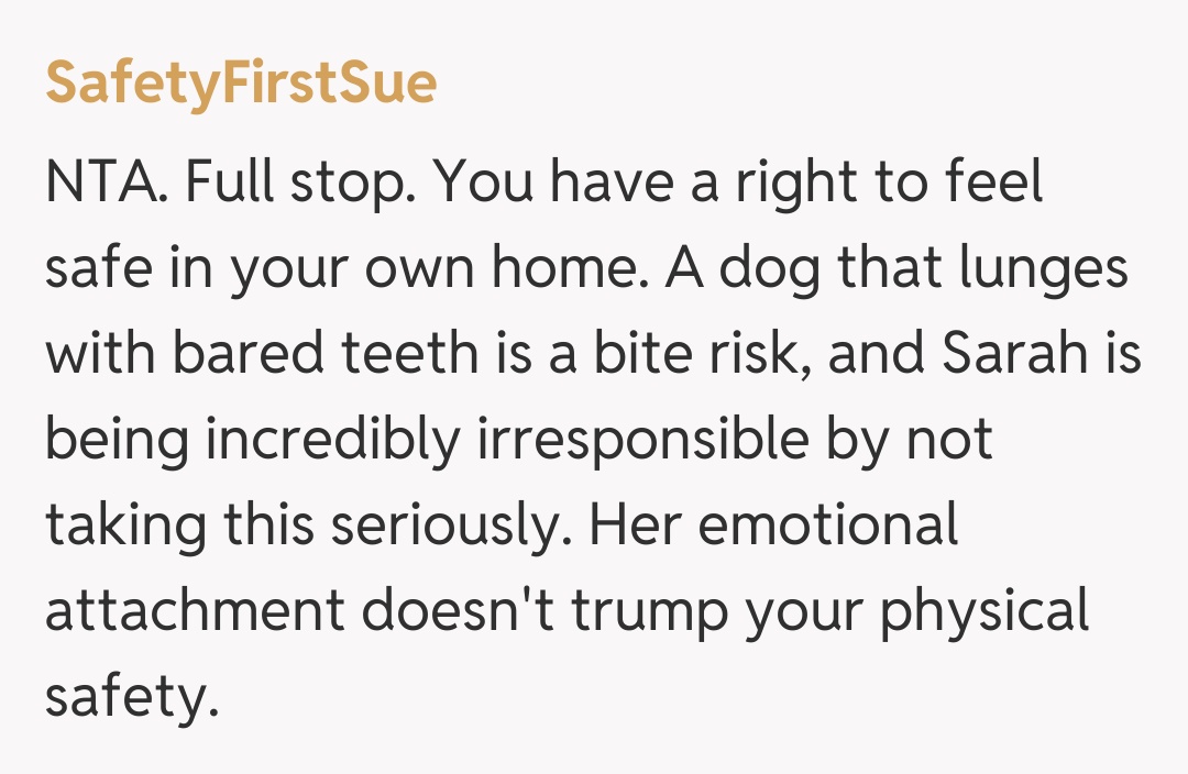 Comentariu de la SafetyFirstSue