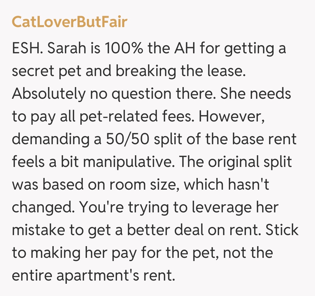 Comentariu de la CatLoverButFair