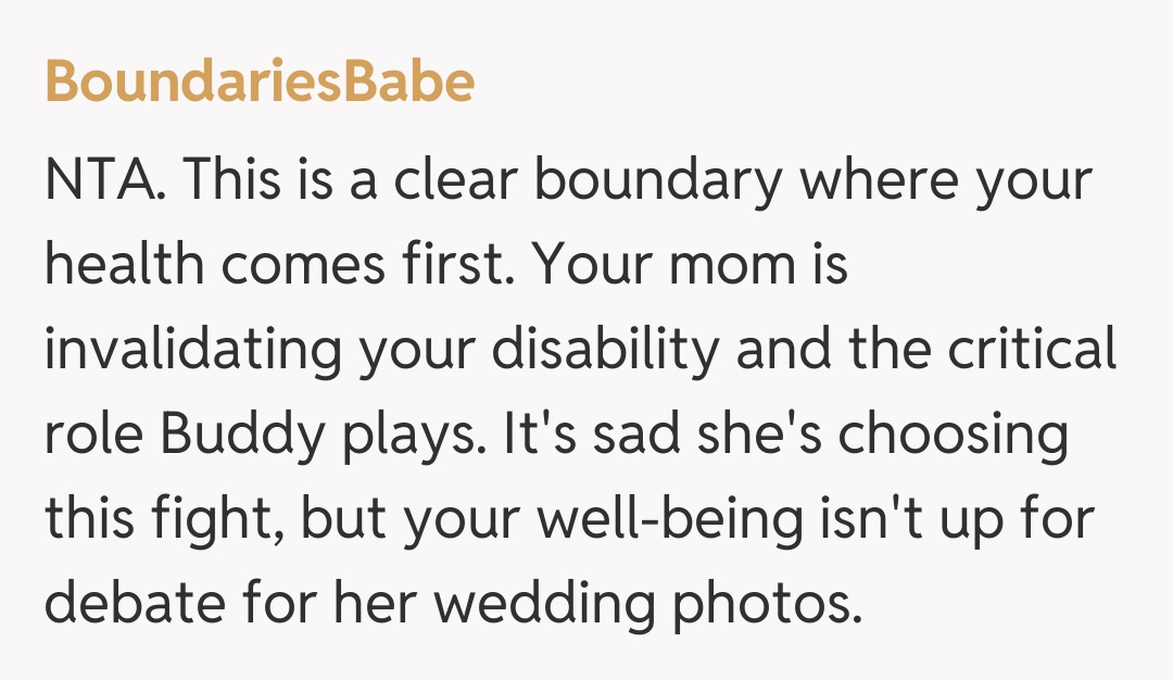 Comentariu de la BoundariesBabe