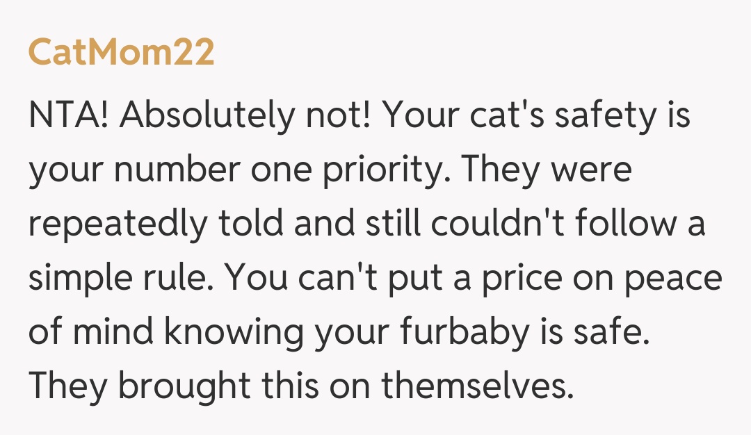 Comentariu de la CatMom22