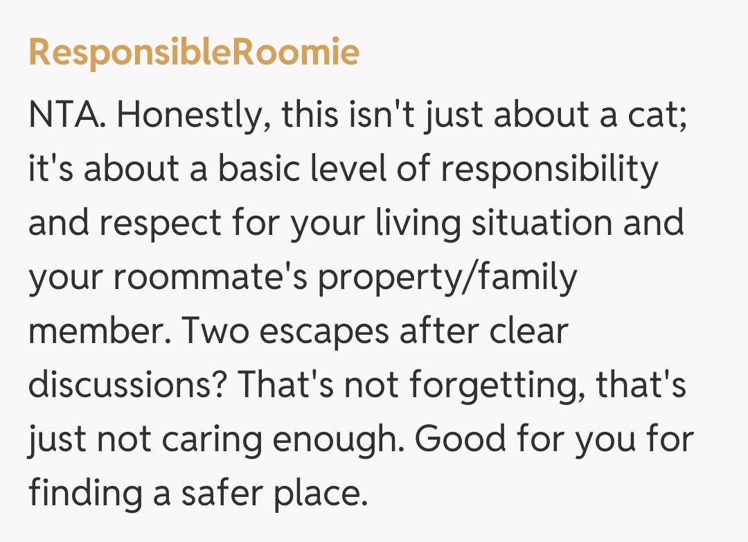 Comentariu de la ResponsibleRoomie