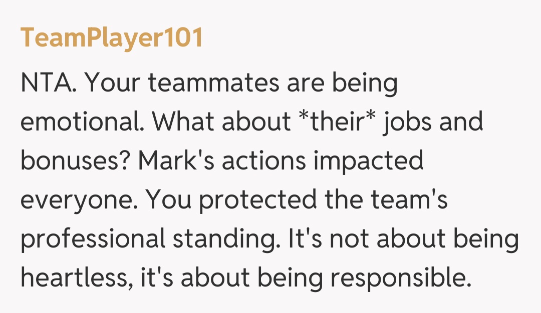 Comentariu de la TeamPlayer101