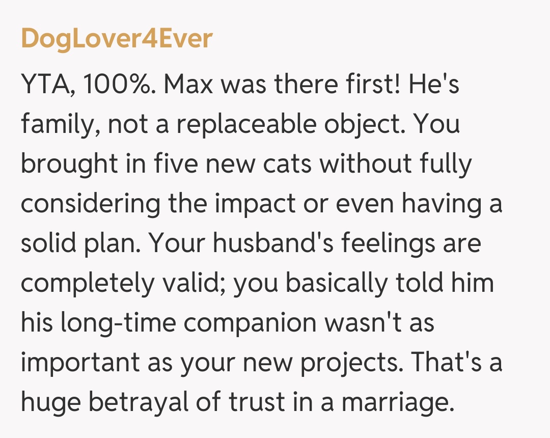Comentariu de la DogLover4Ever