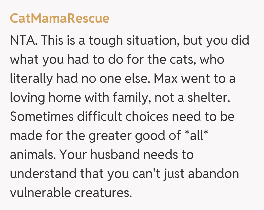 Comentariu de la CatMamaRescue
