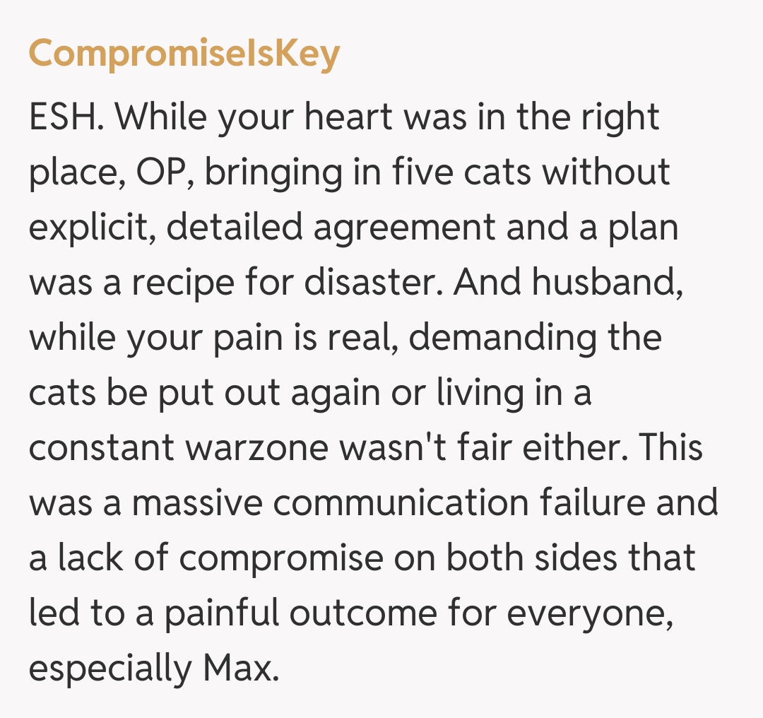 Comentariu de la CompromiseIsKey