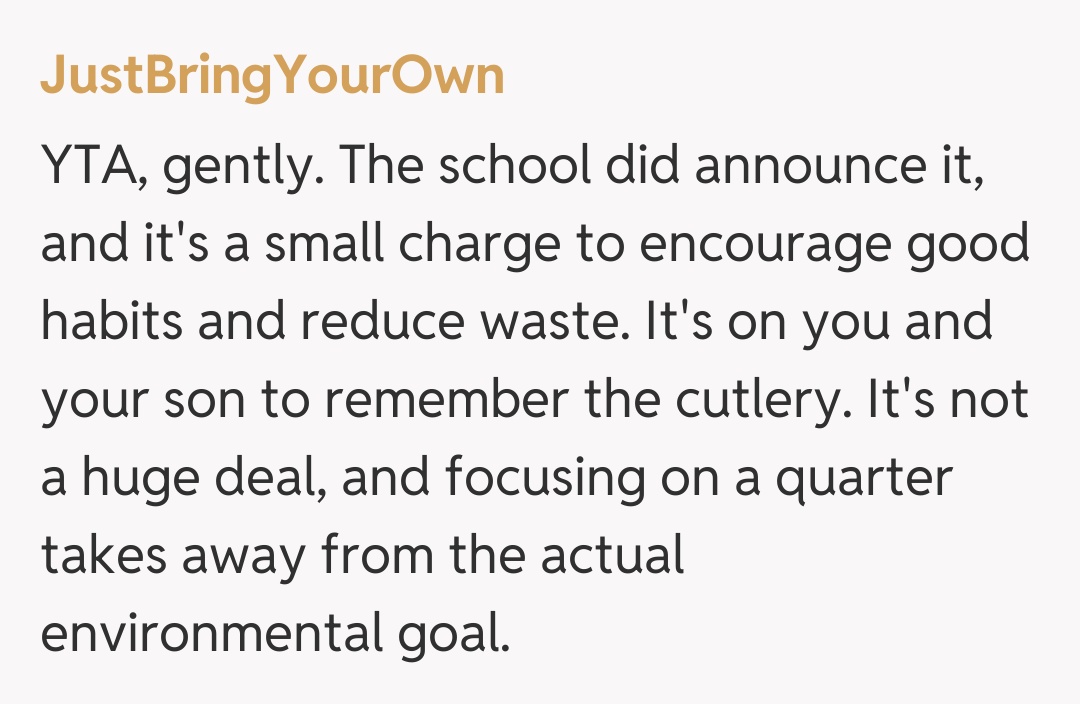 Comentariu de la JustBringYourOwn