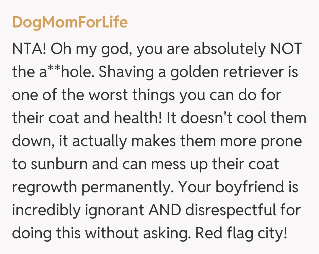 Comentariu de la DogMomForLife