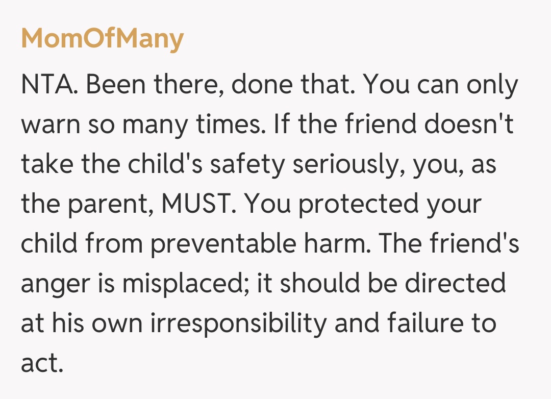 Comentariu de la MomOfMany
