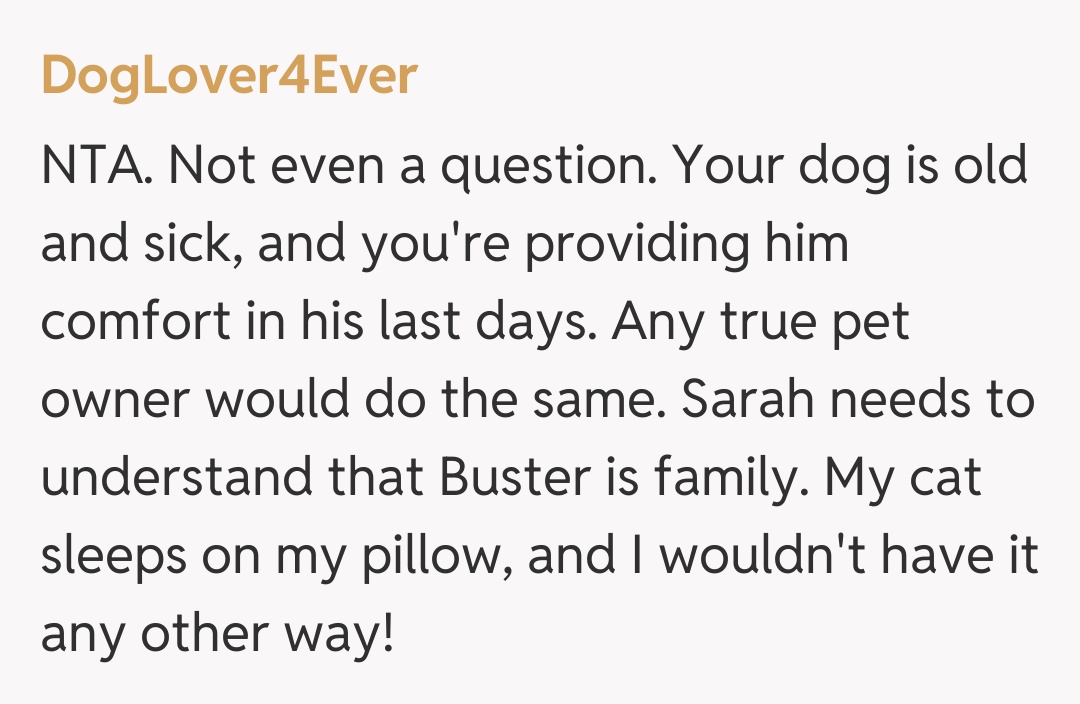 Comentariu de la DogLover4Ever