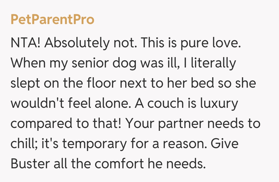 Comentariu de la PetParentPro