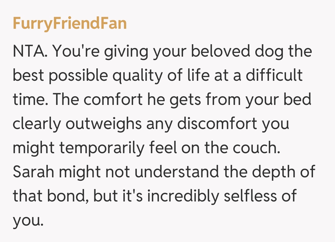 Comentariu de la FurryFriendFan