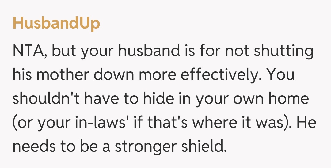 Comentariu de la HusbandUp