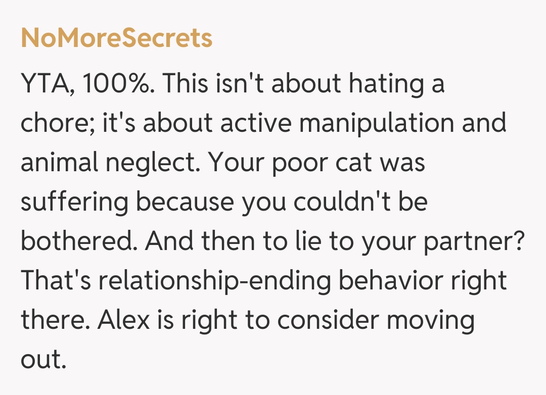Comentariu de la NoMoreSecrets