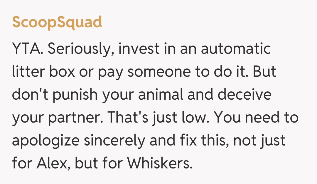 Comentariu de la ScoopSquad
