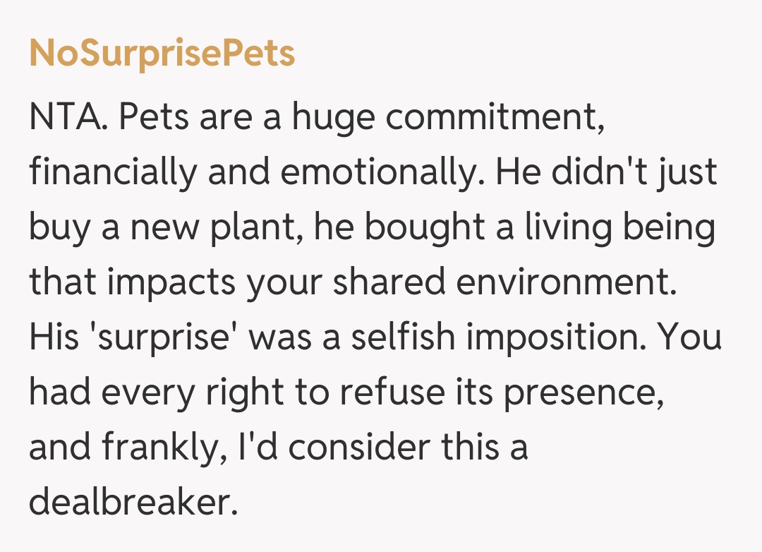 Comentariu de la NoSurprisePets
