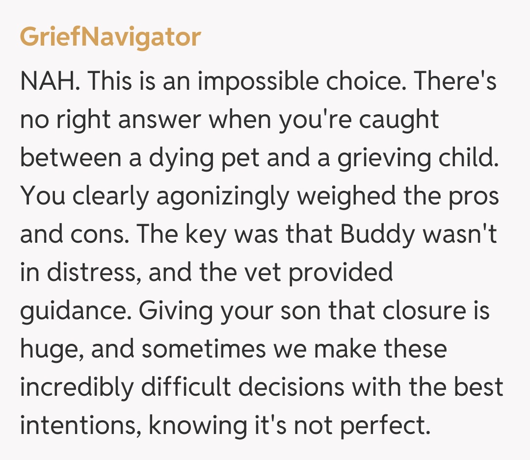 Comentariu de la GriefNavigator