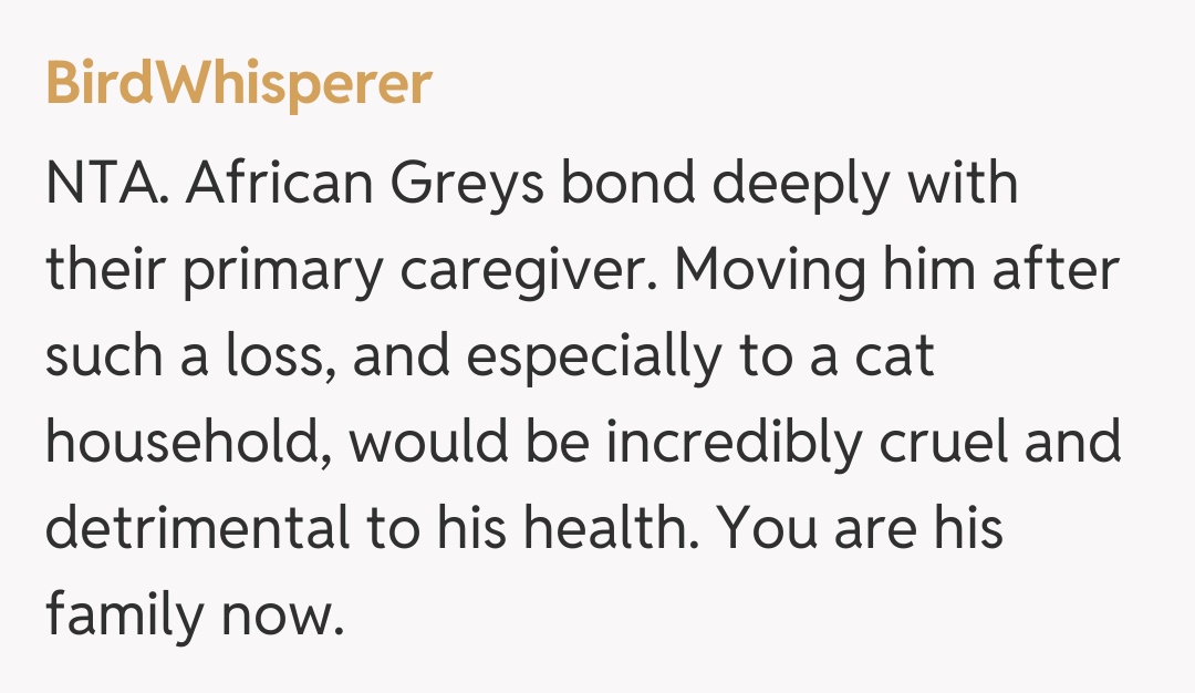 Comentariu de la BirdWhisperer