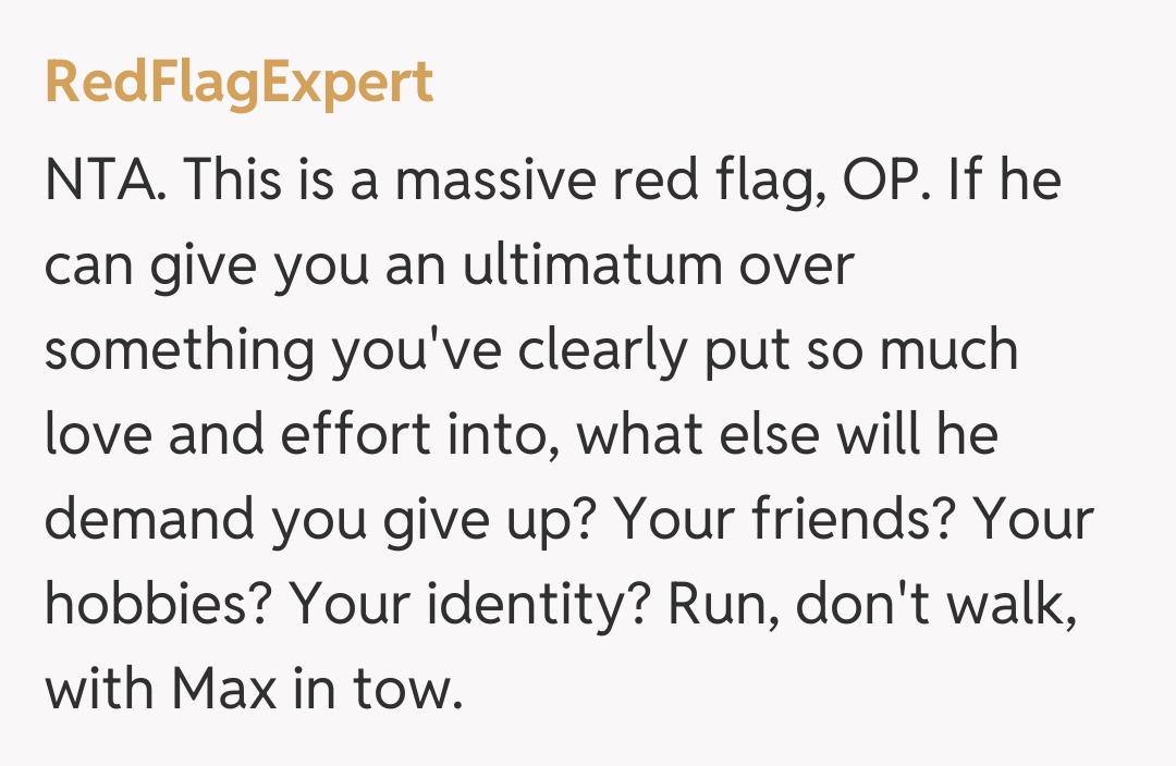 Comentariu de la RedFlagExpert