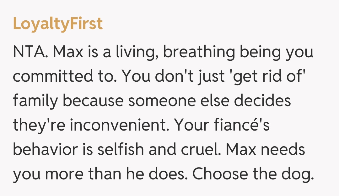 Comentariu de la LoyaltyFirst